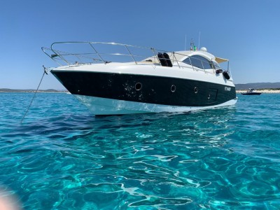 Sessa Marine C43