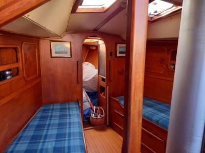 Cantiere Artmare Cat 38