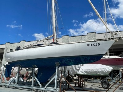 Cantiere Artmare Cat 38