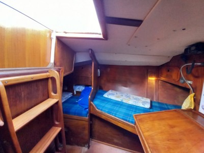 Cantiere Artmare Cat 38