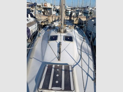 Cantiere Artmare Cat 38