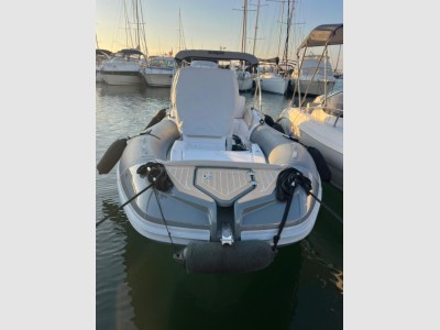 Salpa Soleil 20
