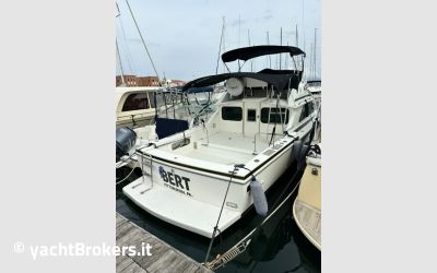 Bertram yachts Bertram 28 Fly usato