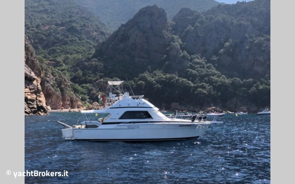 Bertram Yacht 37' Convertible