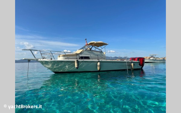 Boston Whaler 25 Revenge