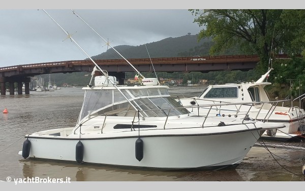 Tuccoli Ivano T 280 Moby Dick Open