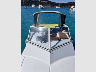 Boston Whaler 22 Revenge