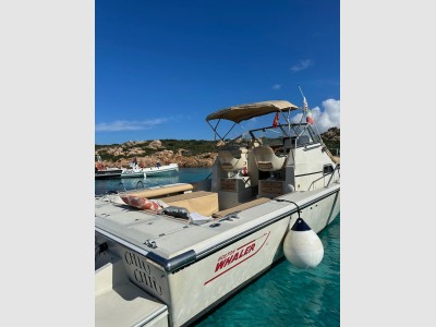 Boston Whaler 25 Revenge