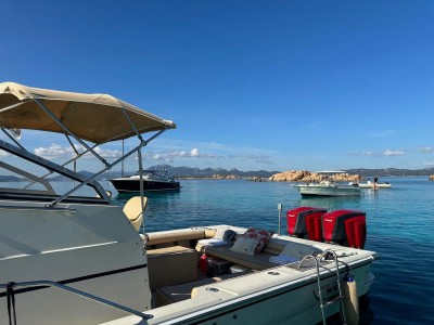 Boston Whaler 25 Revenge