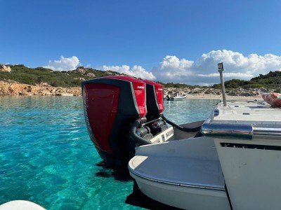 Boston Whaler 25 Revenge