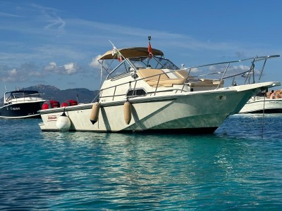 Boston Whaler 25 Revenge