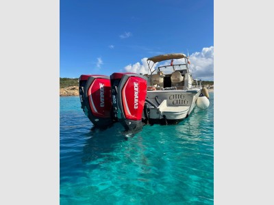 Boston Whaler 25 Revenge