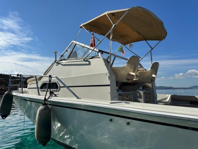 Boston Whaler 25 Revenge