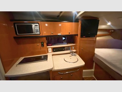 Chaparral Signature 310