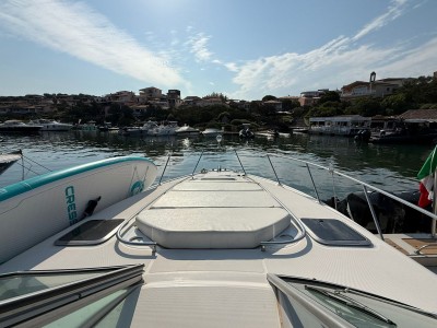 Chaparral Signature 310