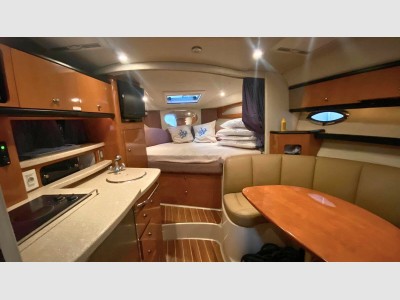 Chaparral Signature 310