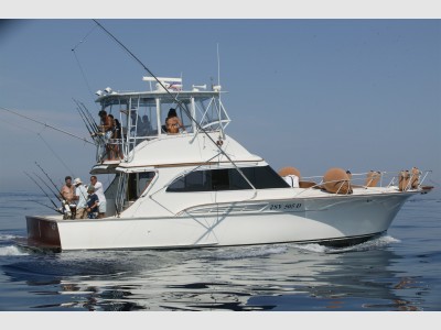 Davis Yacht Davis 47 Sportfisherman