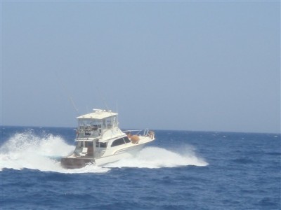 Davis Yacht Davis 47 Sportfisherman