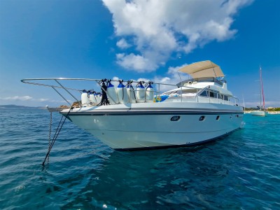 Mochi Craft 44 Fly