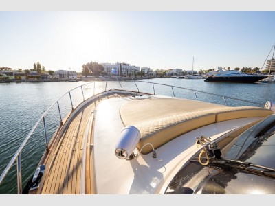 Mochi Craft Mochi 51 Dolphin