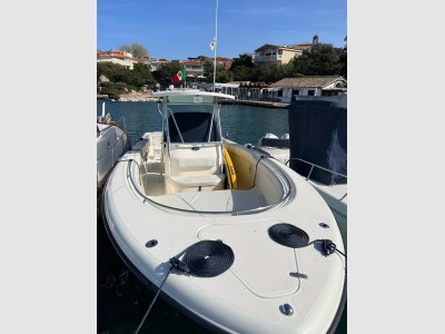 Pursuit C 310 Center Console
