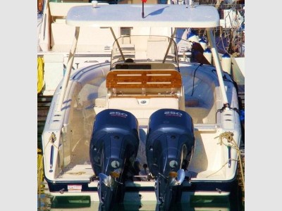 Pursuit S 310 Sport