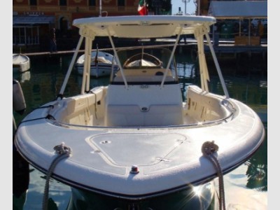 Pursuit S 310 Sport