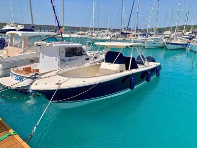 Pursuit S 310 Sport