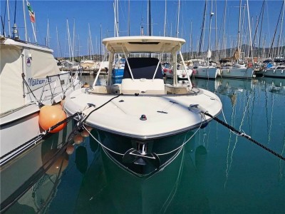 Pursuit S 310 Sport