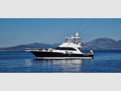 Viking Yachts 54' Convertible