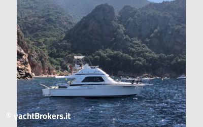 Bertram Yacht 37' Convertible usato