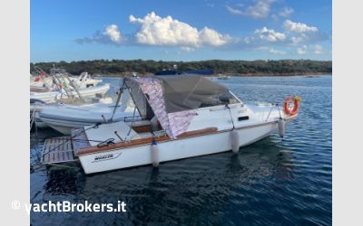 Boston Whaler 22 REVENGE usato