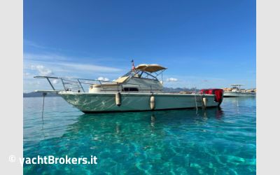 Boston Whaler 25 Revenge