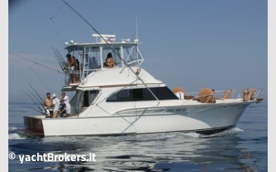 Davis Yacht DAVIS 47 SPORTFISHERMAN usato