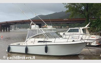 Tuccoli Ivano T 280 Moby Dick Open usato