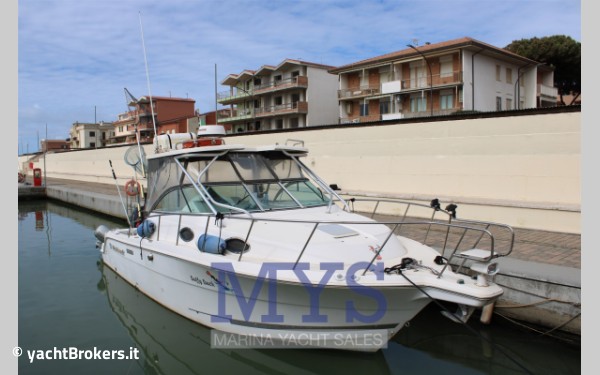 Wellcraft Marine 290 Coastal Fb