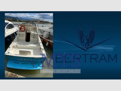 Bertram Yacht 28 Fly