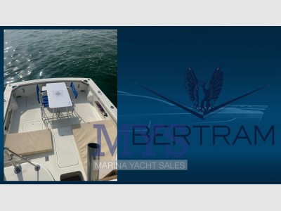 Bertram Yacht 28 Fly