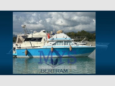 Bertram Yacht 28 Fly