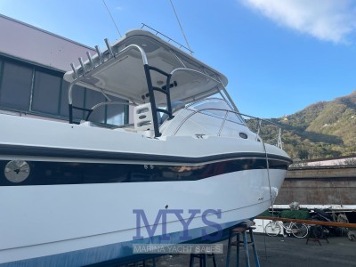Boston Whaler 305 Conquest