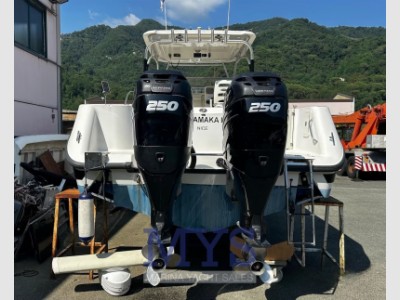Boston Whaler 305 Conquest