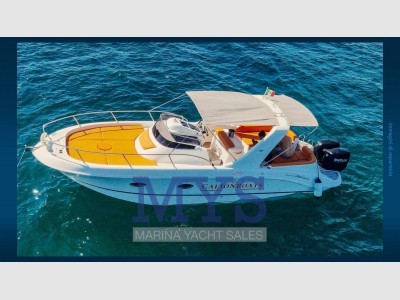 Calionboats 33 Wa