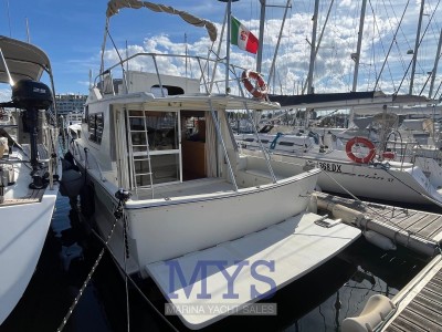 Dellapasqua Dc 11 S Flying Bridge