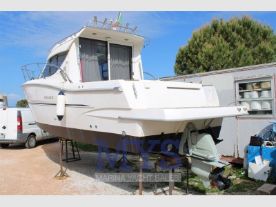 Sessa Marine Dorado 26