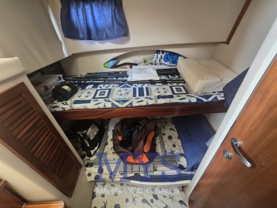 Space 310 Cruiser