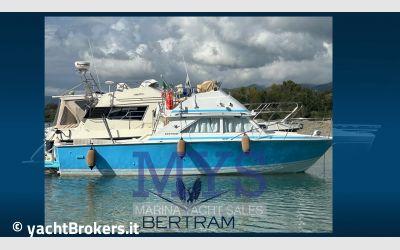 Bertram 28 Fly usato