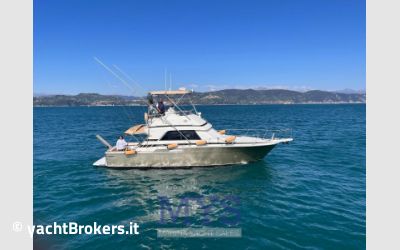 Bertram Yacht 37' Convertible usato