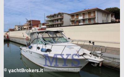 Wellcraft Marine 290 Coastal FB usato