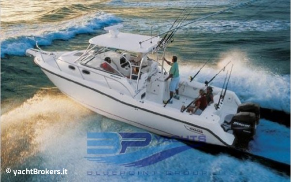 Boston Whaler Boston 305 Conquest