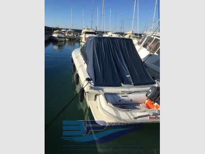 Conam Lupo Di Mare 36